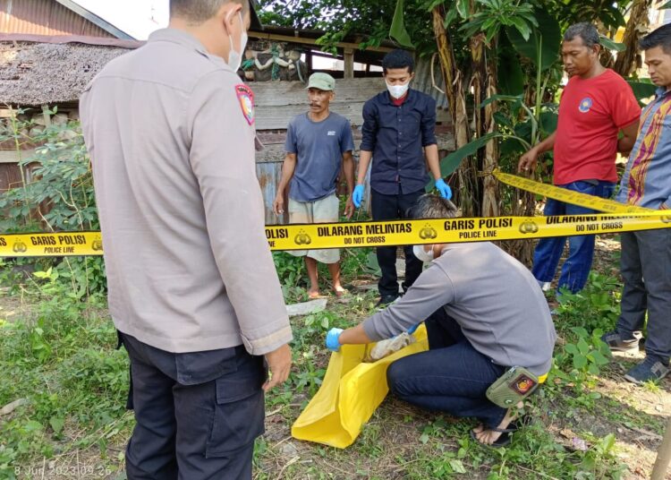 Polisi Sidoarjo Gerebek Tempat Sabung Ayam Tersembunyi